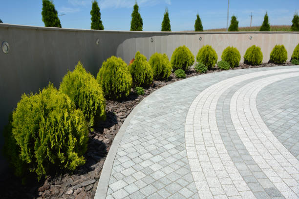 Reasons to Select Us for Your Driveway Paving Requirements in Felton, CA